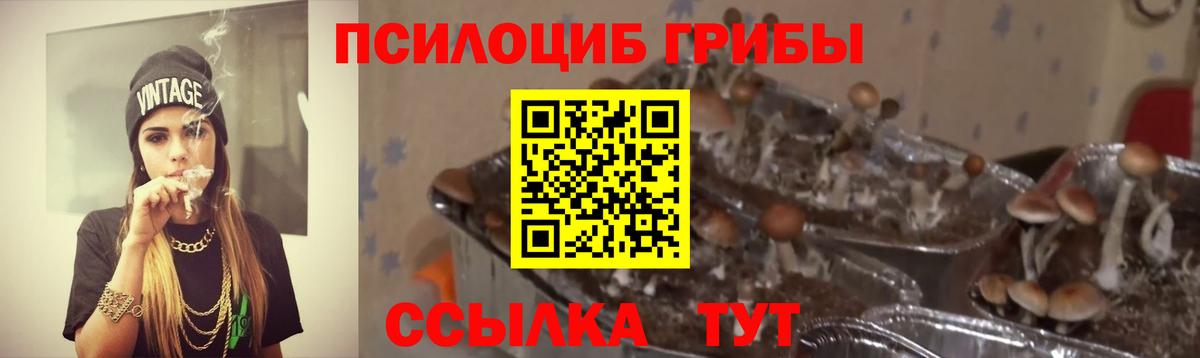 Чехов  Галлюциногенные грибы прущие грибы  Псилоцибиновые грибы GOLDEN TEACHER  Вход с VPN 